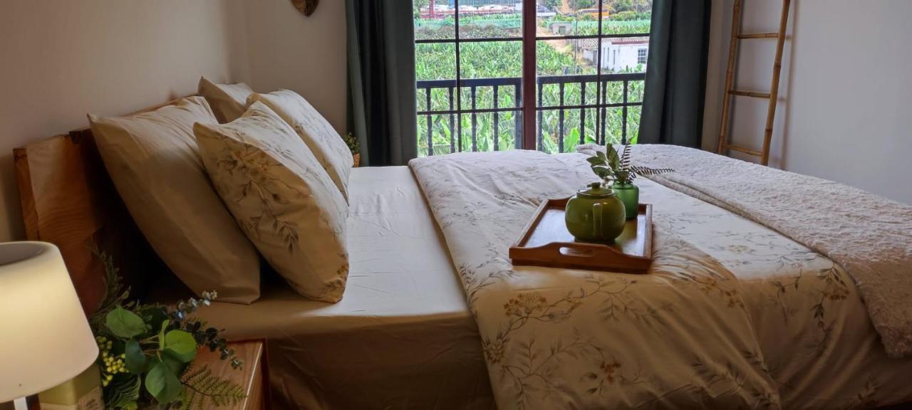 サンタクルスデテネリフェCasa Banana Sunsetアパートメント エクステリア 写真